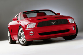 , mustang