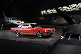 , mustang