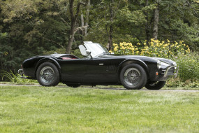 , ac cobra, shelby, cobra
