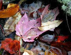     1720107 (a):_ :2364x1848