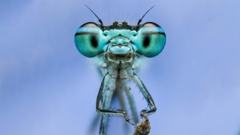 , , , 