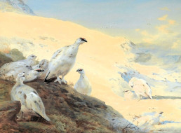 , archibald thorburn, , , 