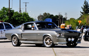 shelby mustang, ,    , , , 