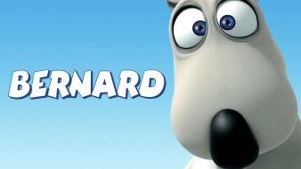 , bernard