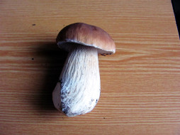 , ,   , 