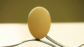 , , , 