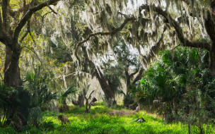     1735436 (a):Barborka :2560x1600