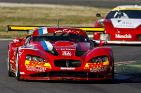     1735832 (a):sparco :2000x1333