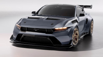, , mustang, , , , , , 