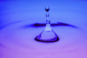 , ,  ,  , , , 