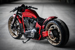 , , harley-davidson, , , , thunderbike, customs