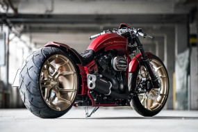 , , harley-davidson, , , , thunderbike, customs