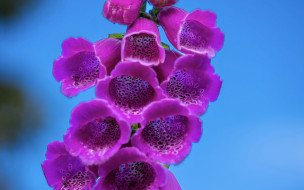 ,  , , , , 