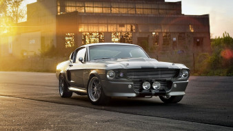 , mustang, , , , 
