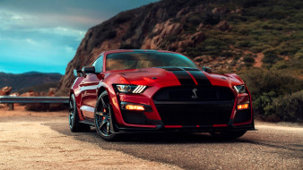 shelby mustang, , mustang, , , 