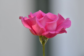 , , , , 
