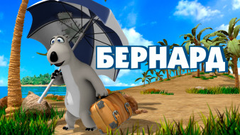 bernard ,  2006  2008, , bernard, , , , , 