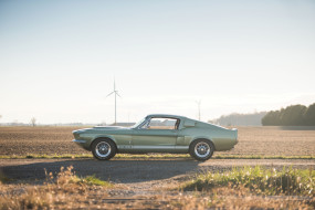eleanor, , mustang, shelby, gt500