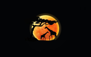  ,  , animals, , , , 