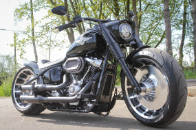 , , harley-davidson, , , thunderbike, customs