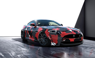 , jaguar, -, 