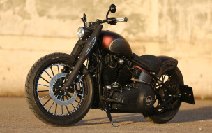 hurley, , 3d, thunderbike, customs, , 