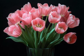 3 ,  , flowers, , 