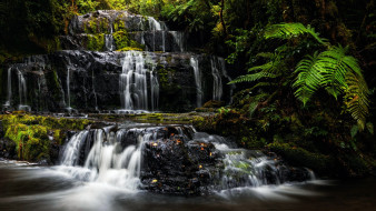 purakanui falls, new zealand, , , purakanui, falls, new, zealand