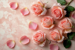 3 ,  , flowers, 