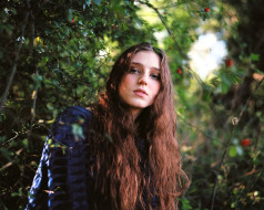 birdy, , - ,  , , , 