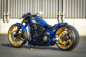 , , harley-davidson, , , thunderbike, customs