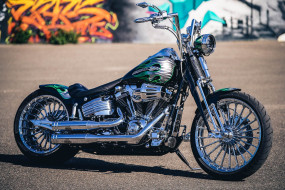 , , harley-davidson, , , thunderbike, customs
