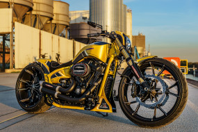, , harley-davidson, , , thunderbike, customs