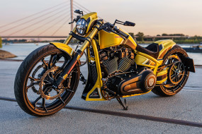 , , harley-davidson, , , thunderbike, customs