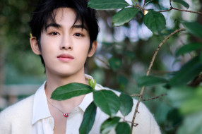 winwin- dong si cheng, , -unsort, , , 