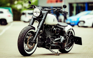 , , harley-davidson, , , thunderbike, customs