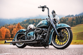 , , harley-davidson, , , thunderbike, customs