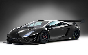 lamborghini gallardo, , lamborghini, 