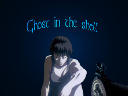      1024x768 , , ghost, in, the, shell