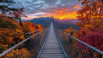3 ,  , nature, , , , , , 
