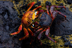     1753016 (a):_ :1920x1281