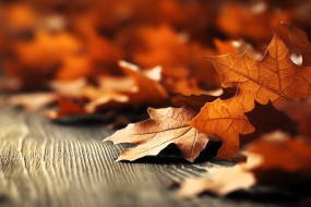 3 ,  , nature, , , 