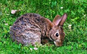     1754696 (a):_ :1920x1200