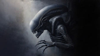     1755122 (a):DAVE :1920x1080