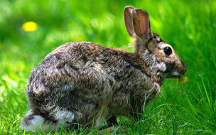     1755204 (a):_ :1920x1200