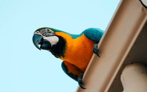 , , , , 