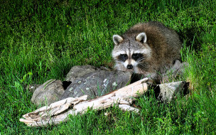     1755427 (a):_ :1920x1200