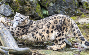     1755544 (a):_ :1920x1200