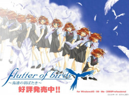      1024x768 , flutter, of, birds