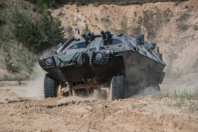     1755642 (a):sparco :5472x3648